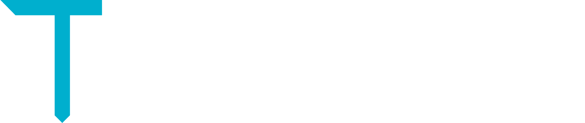 Terra Vera Analytics